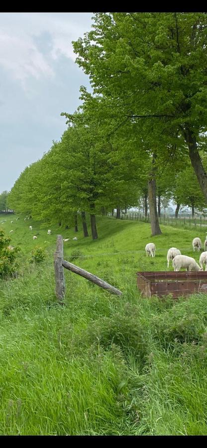 Bungalow Scheldezicht In Zeeland Dicht Bij Zee Scherpenisse Bagian luar foto