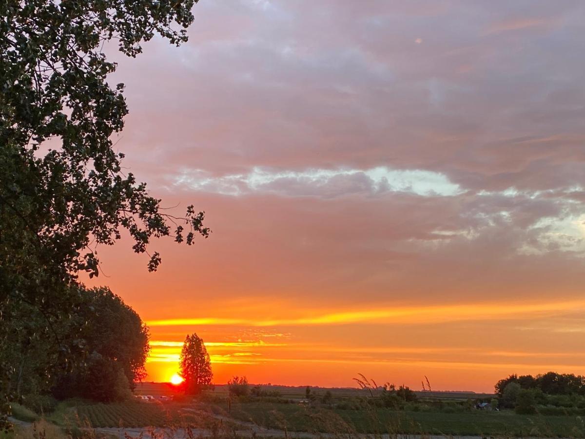 Bungalow Scheldezicht In Zeeland Dicht Bij Zee Scherpenisse Bagian luar foto