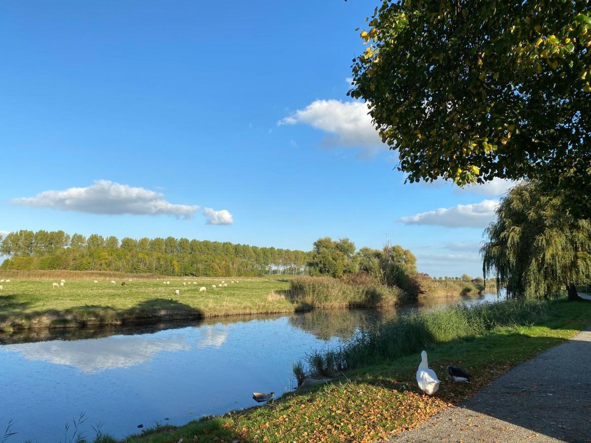 Bungalow Scheldezicht In Zeeland Dicht Bij Zee Scherpenisse Bagian luar foto